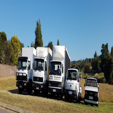 Alpha Movers